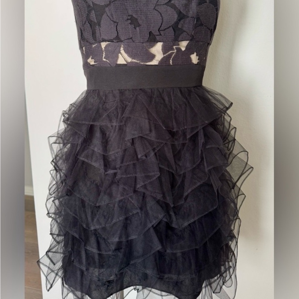 Black Lace and Tulle Dress